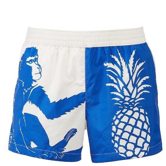 Bottega Veneta Other - New Authentic Bottega Veneta Swimming Boxer Shorts Trunks